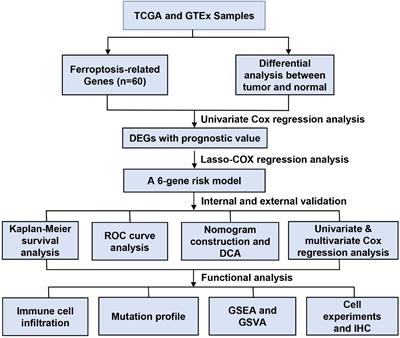 A Novel Ferroptosis-Related Prognostic Signature Reveals Macrophage Infiltration and EMT Status in Bladder Cancer